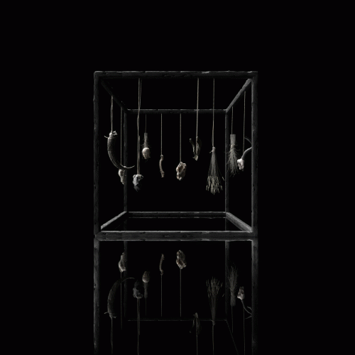 Treha Sektori : Rejet